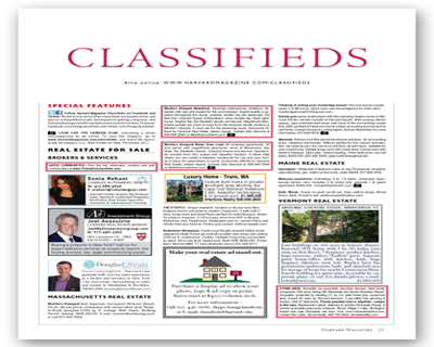 Classified Portal development company hidden web solutions