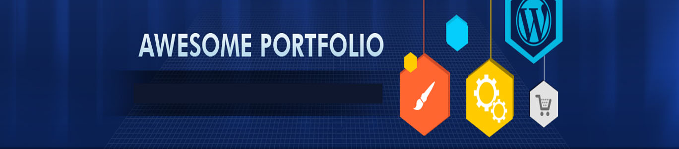 Portfolio of Hidden Web Solutions Company 